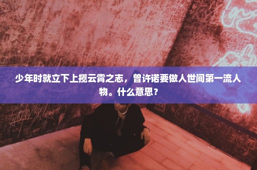 少年时就立下上揽云霄之志，曾许诺要做人世间第一流人物。什么意思？