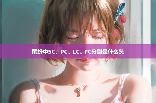 尾纤中SC、PC、LC、FC分别是什么头