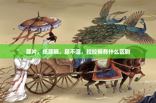 尿片，纸尿裤，尿不湿，拉拉裤有什么区别