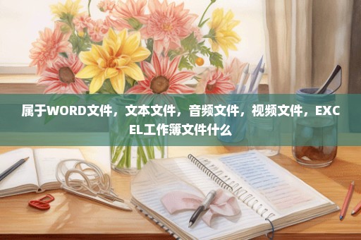 属于WORD文件，文本文件，音频文件，视频文件，EXCEL工作簿文件什么