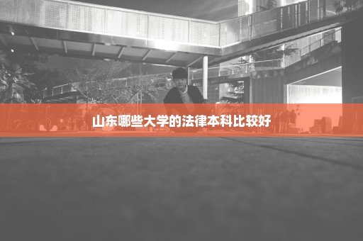 山东哪些大学的法律本科比较好