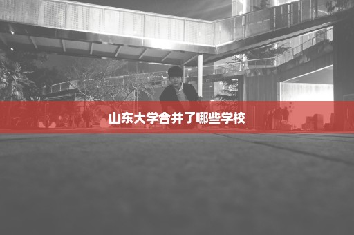 山东大学合并了哪些学校