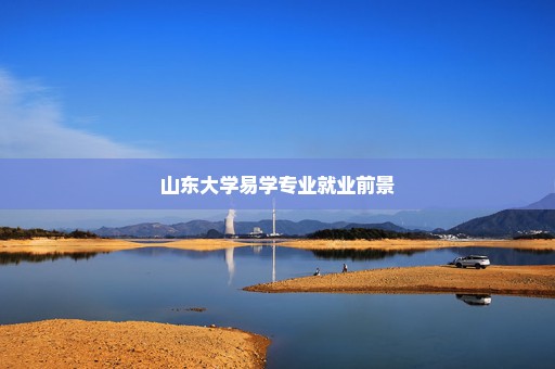 山东大学易学专业就业前景