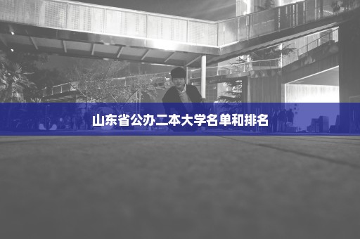 山东省公办二本大学名单和排名