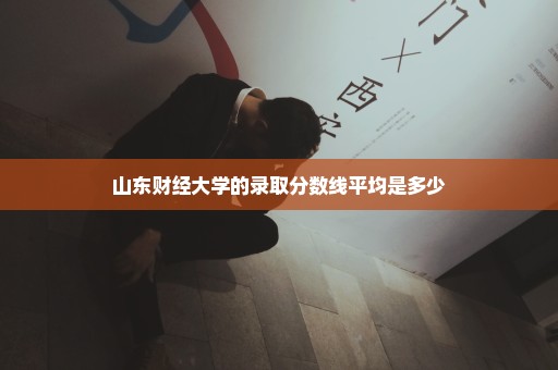 山东财经大学的录取分数线平均是多少