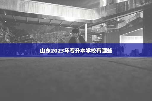 山东2023年专升本学校有哪些