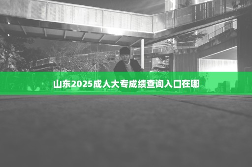 山东2025成人大专成绩查询入口在哪