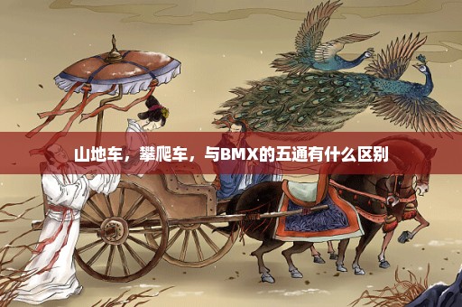 山地车，攀爬车，与BMX的五通有什么区别