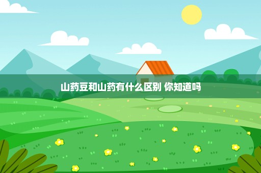 山药豆和山药有什么区别 你知道吗