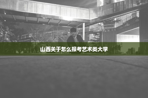 山西关于怎么报考艺术类大学