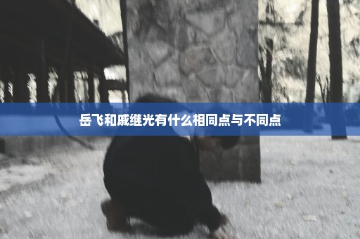 岳飞和戚继光有什么相同点与不同点