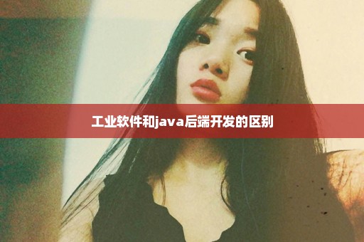 工业软件和java后端开发的区别