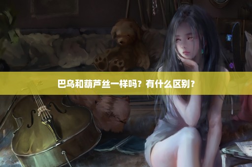 巴乌和葫芦丝一样吗？有什么区别？