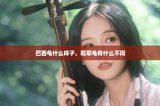 巴西龟什么样子，和草龟有什么不同