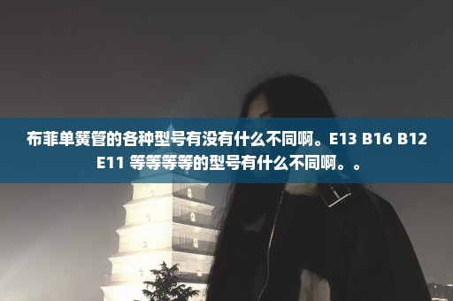 布菲单簧管的各种型号有没有什么不同啊。E13 B16 B12 E11 等等等等的型号有什么不同啊。。