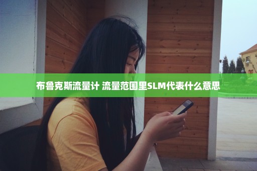 布鲁克斯流量计 流量范围里SLM代表什么意思