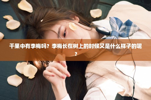 干果中有李梅吗？李梅长在树上的时候又是什么样子的呢？