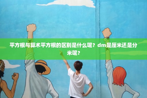 平方根与算术平方根的区别是什么呢？dm是厘米还是分米呢？