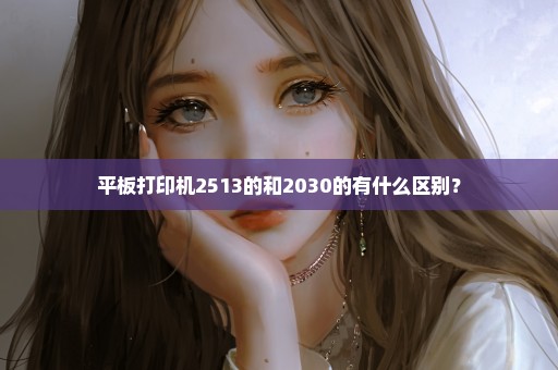 平板打印机2513的和2030的有什么区别？