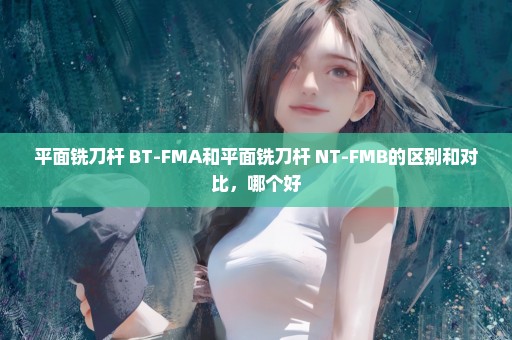 平面铣刀杆 BT-FMA和平面铣刀杆 NT-FMB的区别和对比，哪个好