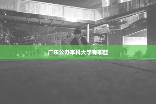 广东公办本科大学有哪些