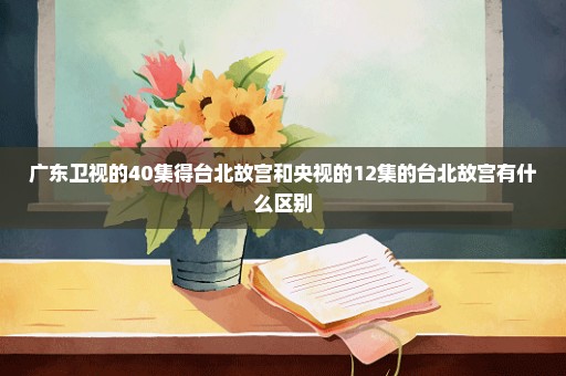 广东卫视的40集得台北故宫和央视的12集的台北故宫有什么区别