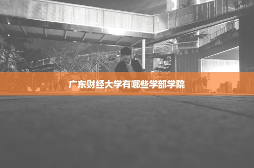 广东财经大学有哪些学部学院