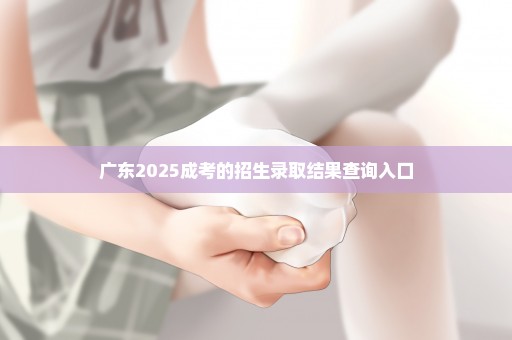 广东2025成考的招生录取结果查询入口