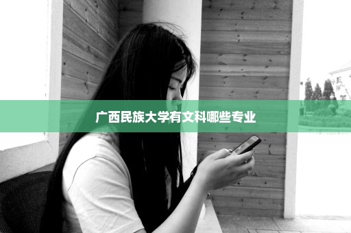 广西民族大学有文科哪些专业