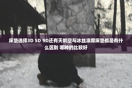 床垫选择3D 5D 9D还有天鹅空与冰丝凉席床垫都是有什么区别 哪种的比较好