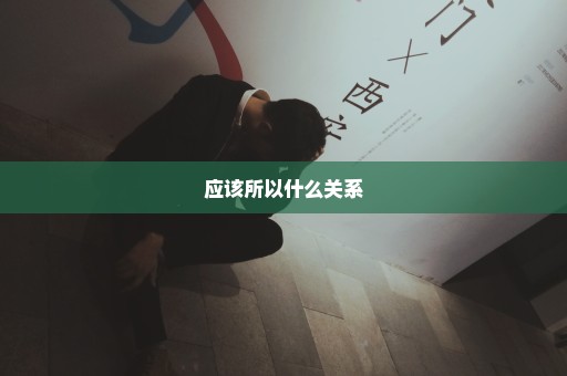 应该所以什么关系