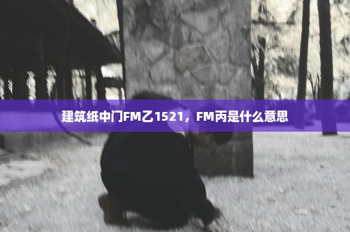 建筑纸中门FM乙1521，FM丙是什么意思