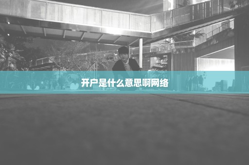 开户是什么意思啊网络