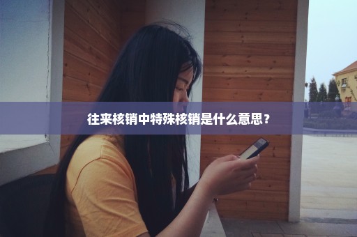 往来核销中特殊核销是什么意思？