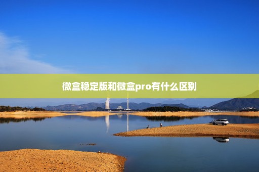 微盒稳定版和微盒pro有什么区别