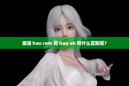 德语 hau rein 和 hau ab 有什么区别呢？