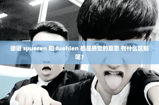 德语 spueren 和 fuehlen 都是感觉的意思 有什么区别呢？