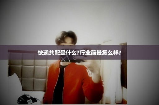 快递共配是什么?行业前景怎么样?