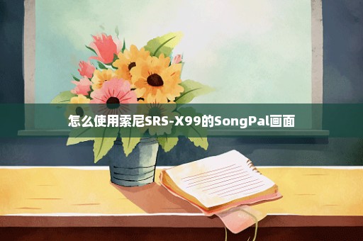 怎么使用索尼SRS-X99的SongPal画面