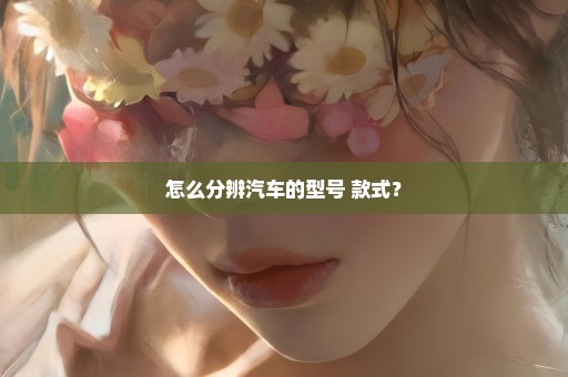 怎么分辨汽车的型号 款式？