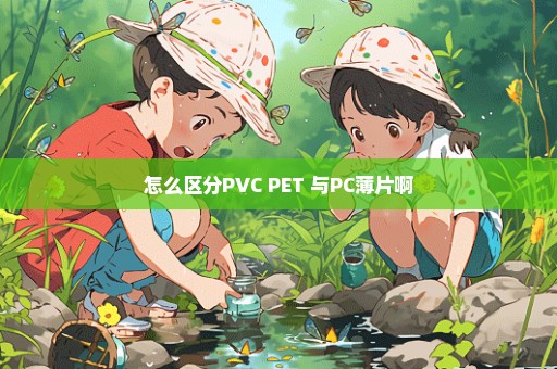 怎么区分PVC PET 与PC薄片啊