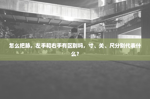 怎么把脉，左手和右手有区别吗，寸、关、尺分别代表什么？