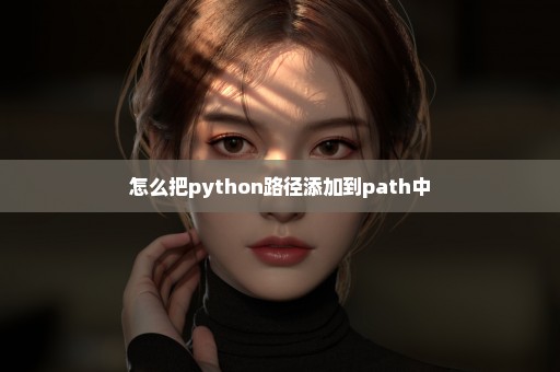 怎么把python路径添加到path中