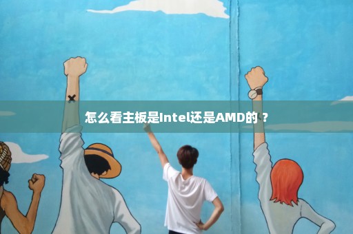 怎么看主板是Intel还是AMD的 ？