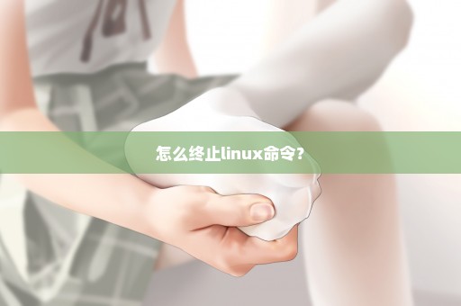 怎么终止linux命令？