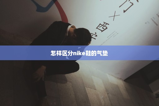 怎样区分nike鞋的气垫