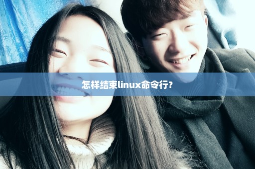 怎样结束linux命令行？