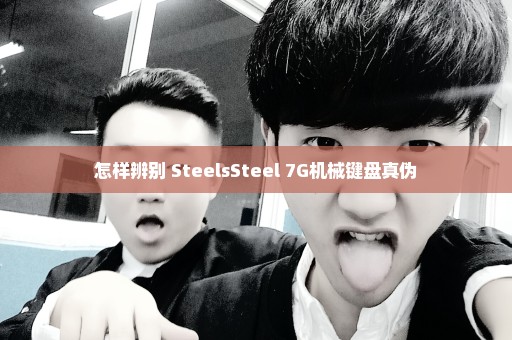 怎样辨别 SteelsSteel 7G机械键盘真伪