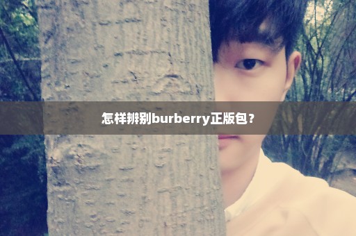 怎样辨别burberry正版包？