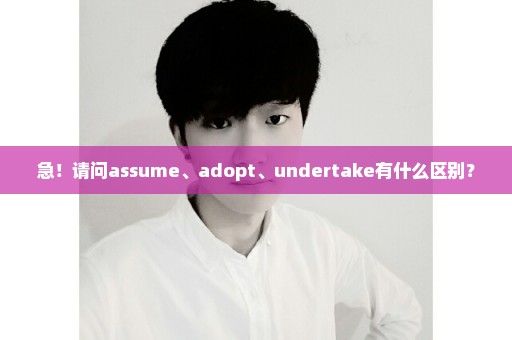 急！请问assume、adopt、undertake有什么区别？